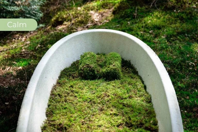 Loop Living Cocoon™ (Mushroom Casket) | Calm