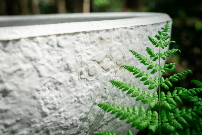 Loop Living Cocoon™ (Mushroom Casket) | Calm