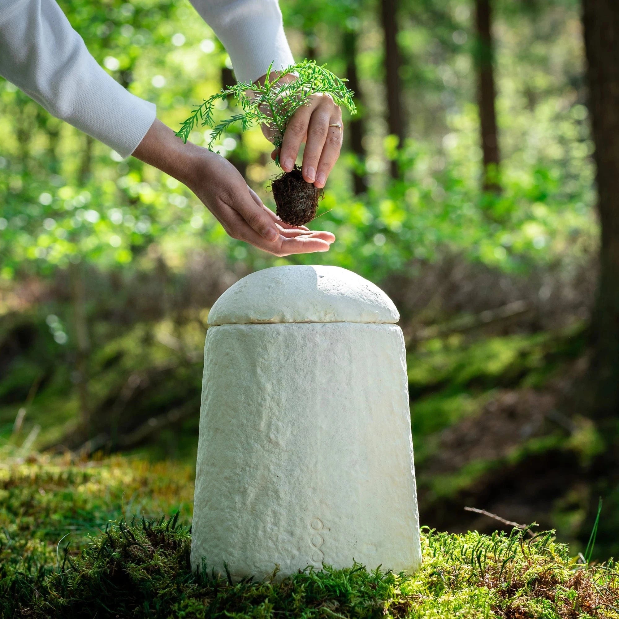 Loop EarthRise™ (Mushroom Urn) | Calm