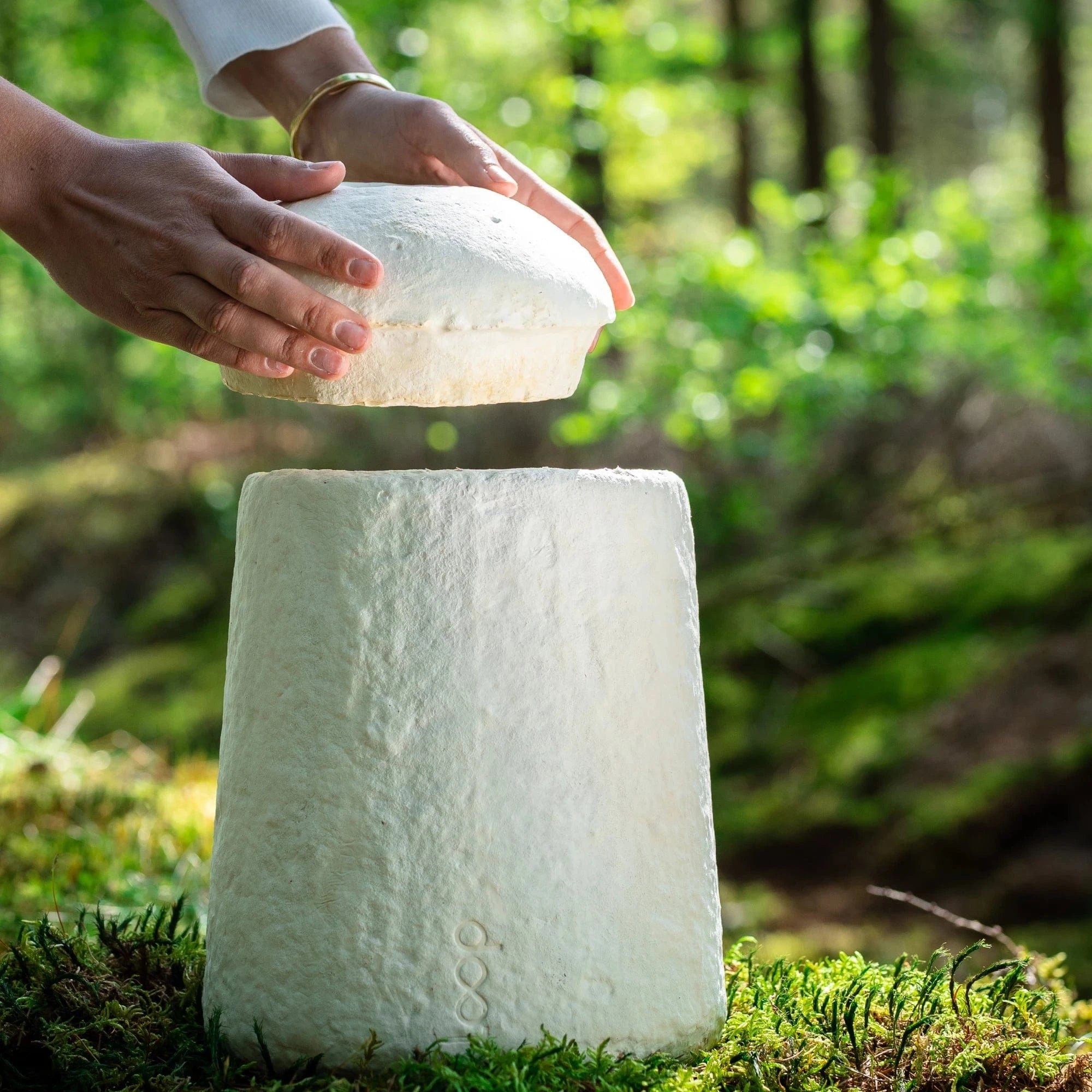 Loop EarthRise™ (Mushroom Urn) | Calm